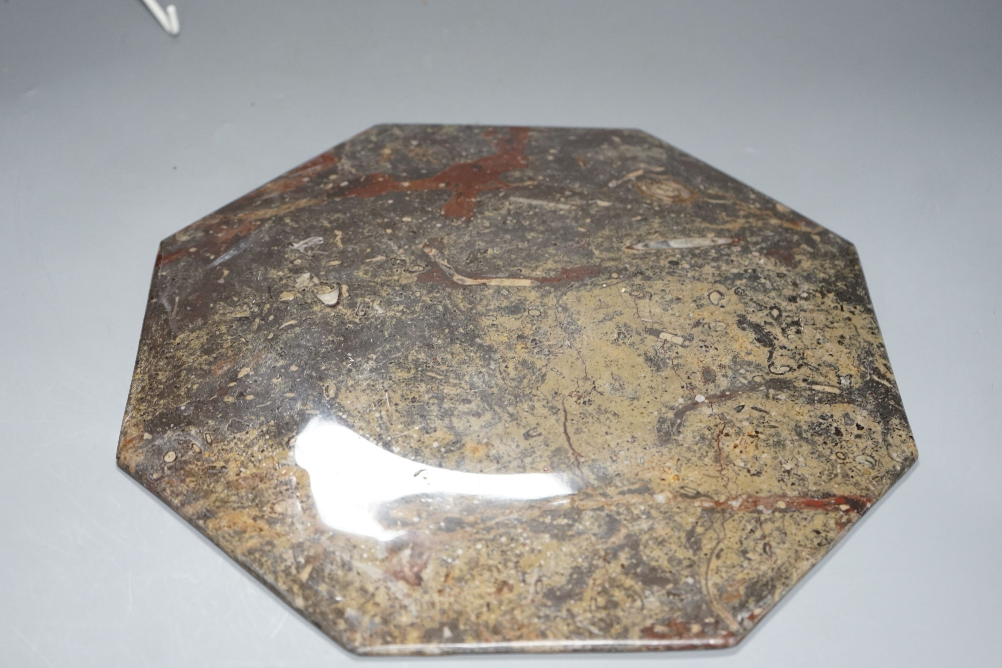 A fossil stone plate, 30cms wide
